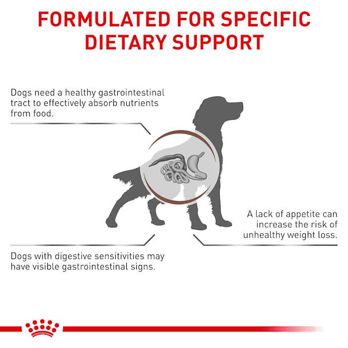 Veterinary Diet Canine Gastrointestinal Dry Dog Food G161