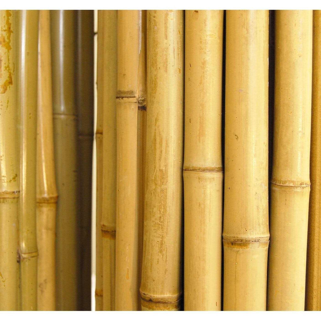Natural Bamboo Fencing V1404