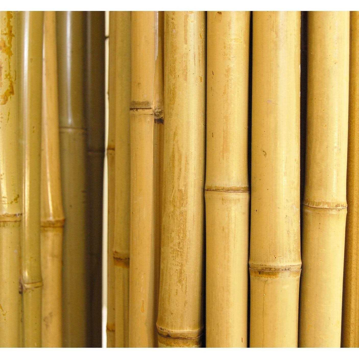 Natural Bamboo Fencing V1404