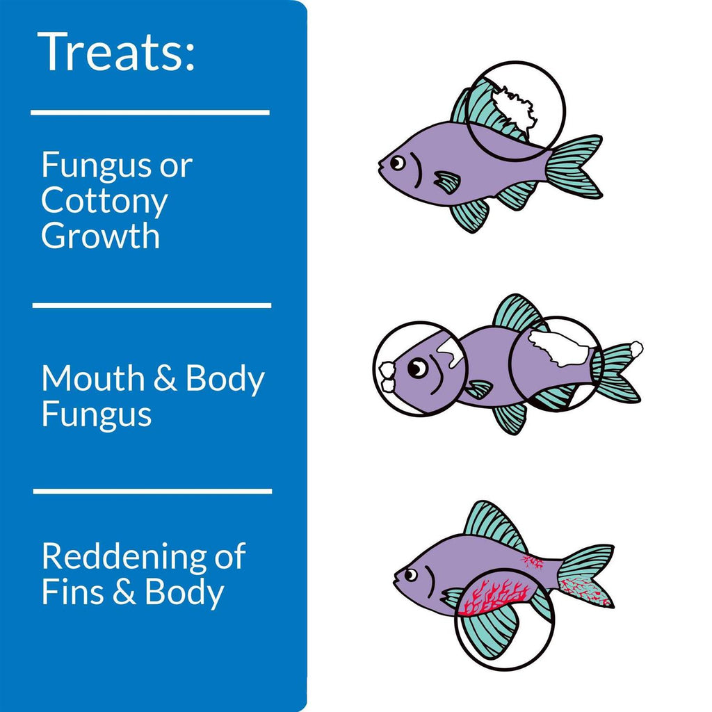 Antifungal Fish Remedy V10936