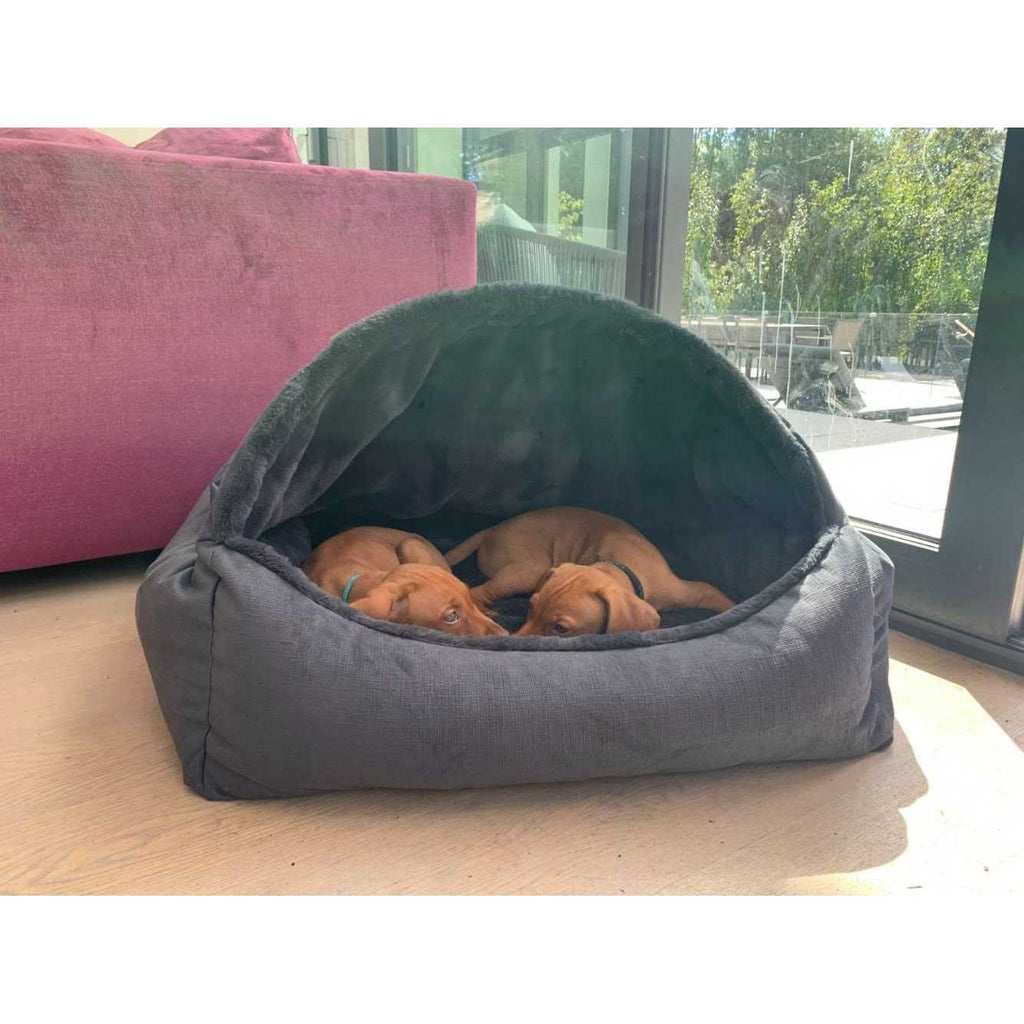 Canopy Dog Bed B9264