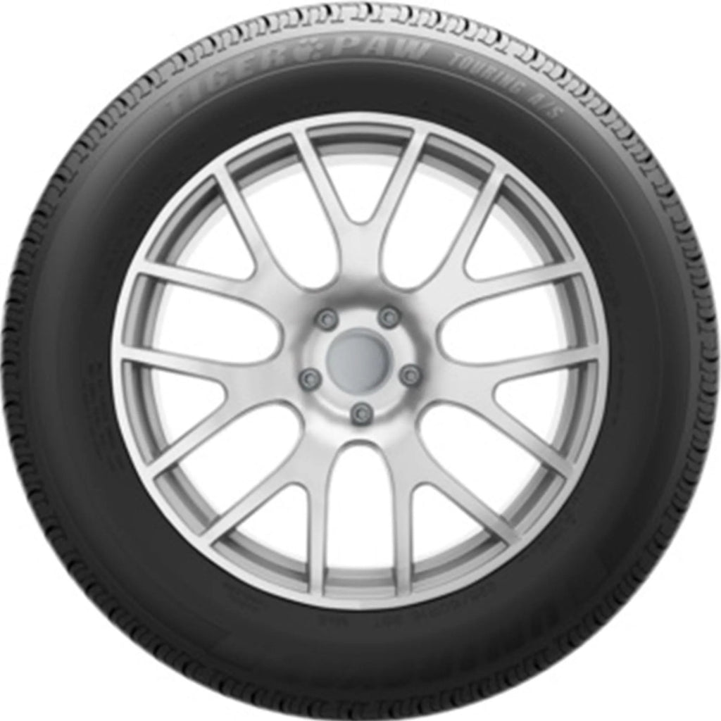 All Season 205/55R16 91V Passenger Tire F959