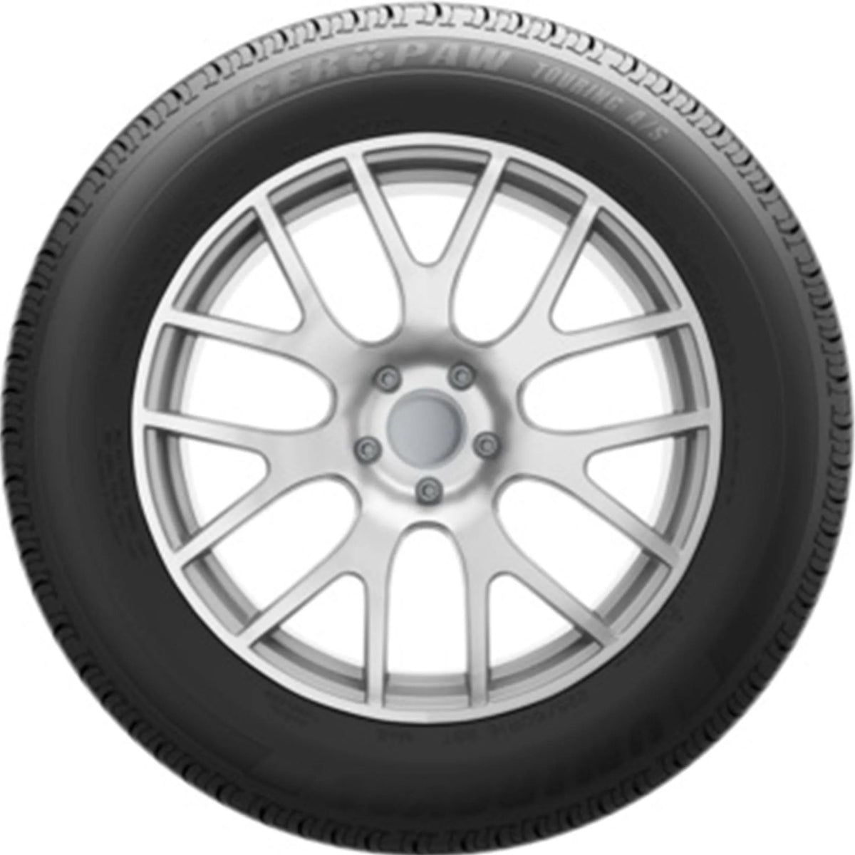 All Season 205/55R16 91V Passenger Tire F959