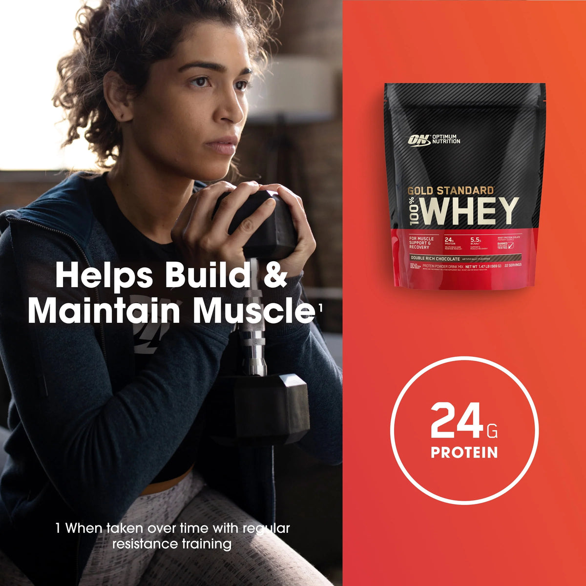 Double Rich Chocolate Protein Powder 22 Servings M217628