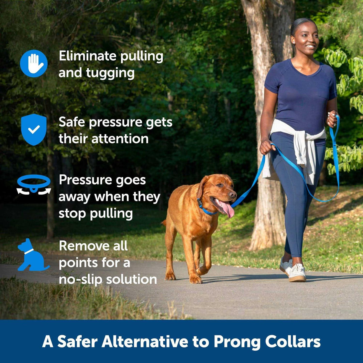 Soft Point Training Collar Q822