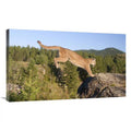 Mountain Lion Jumping Art Print B483