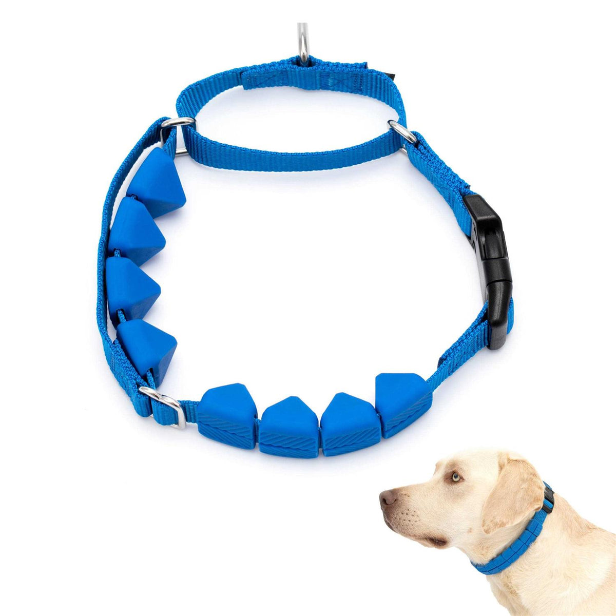 Soft Point Training Collar Q822