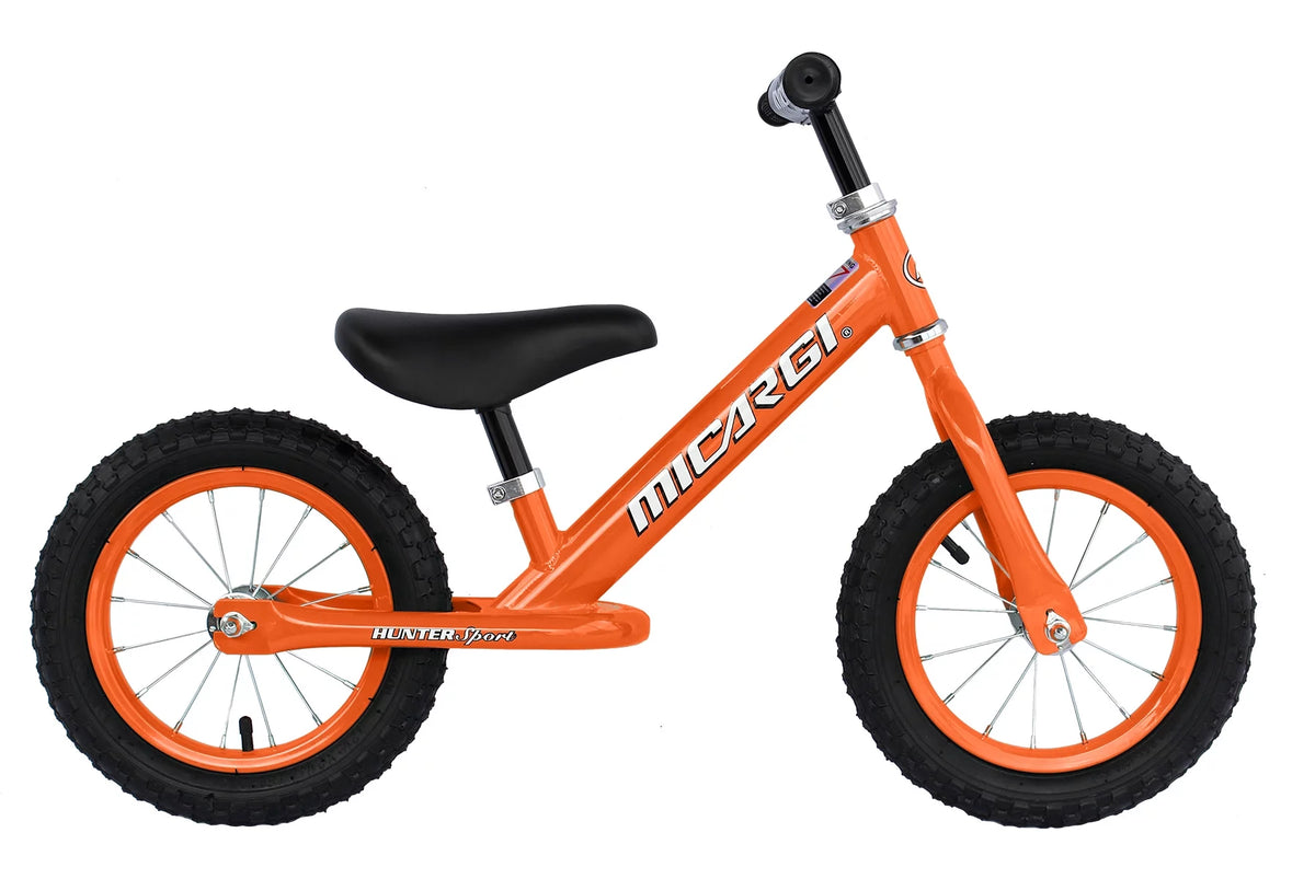 12 No-Pedal Steel Frame Balance Bike with Air Tire F796