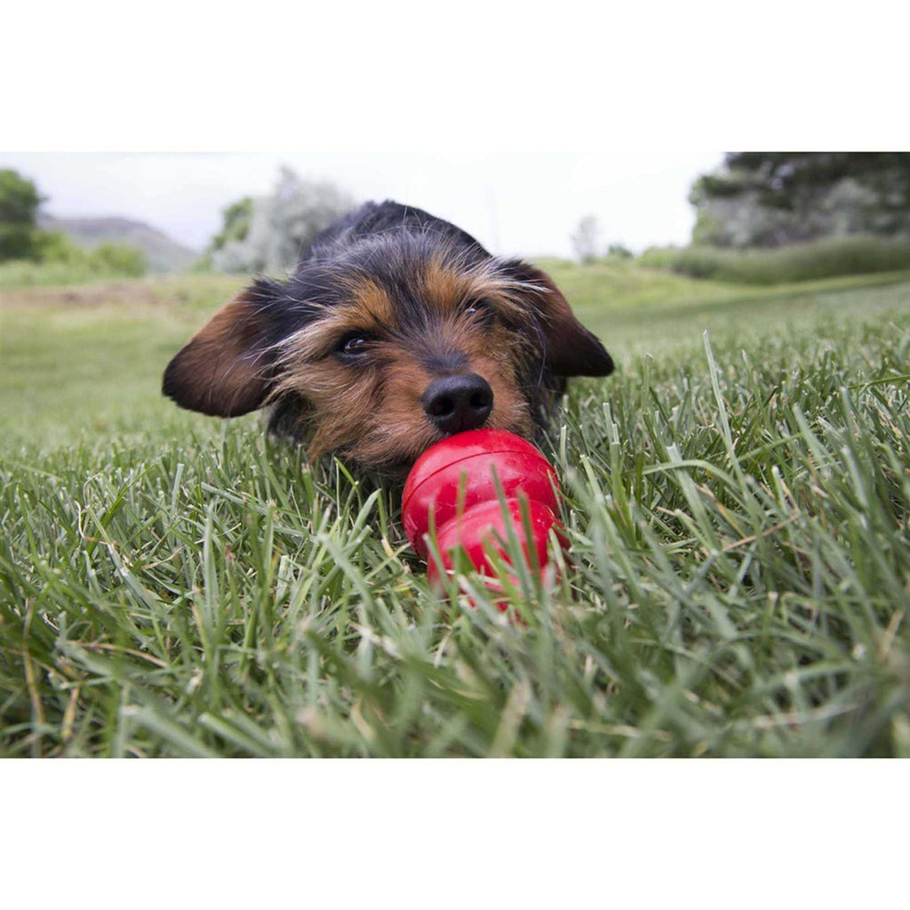 Kong Easy Treat P87393