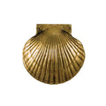 Brass Sea Scallop Door Knocker B61580