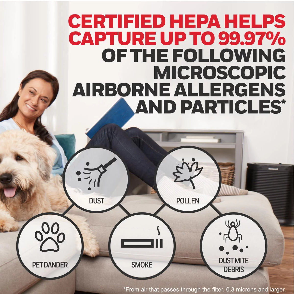 Air Purifier HEPA Filter 465 sq ft Y127277
