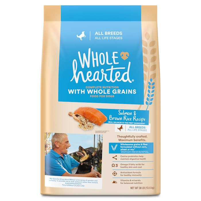 Salmon Recipe Dry Dog Food V319939