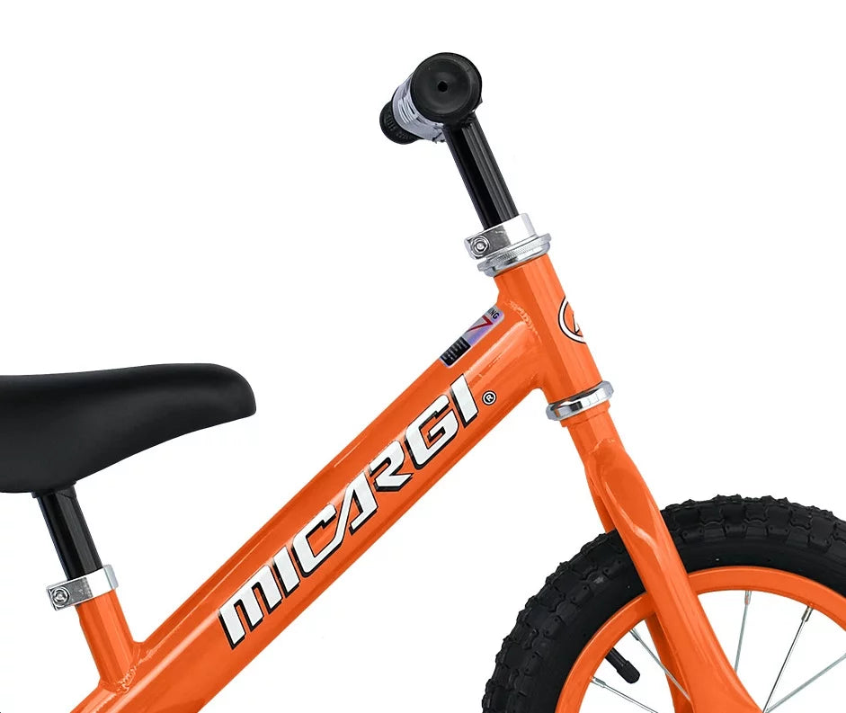 12 No-Pedal Steel Frame Balance Bike with Air Tire F796