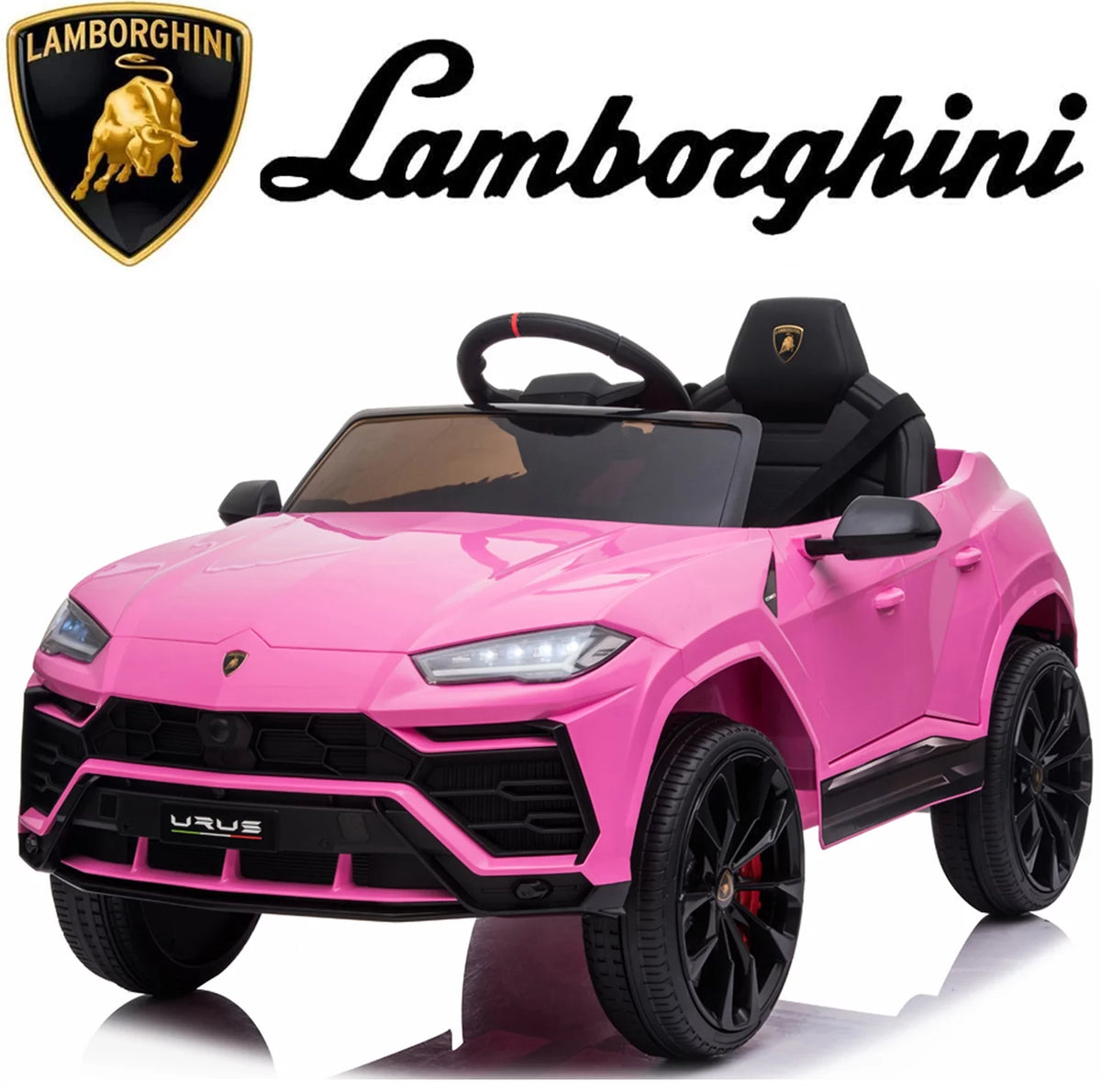 12 V Battery Powered Ride on Car K4478