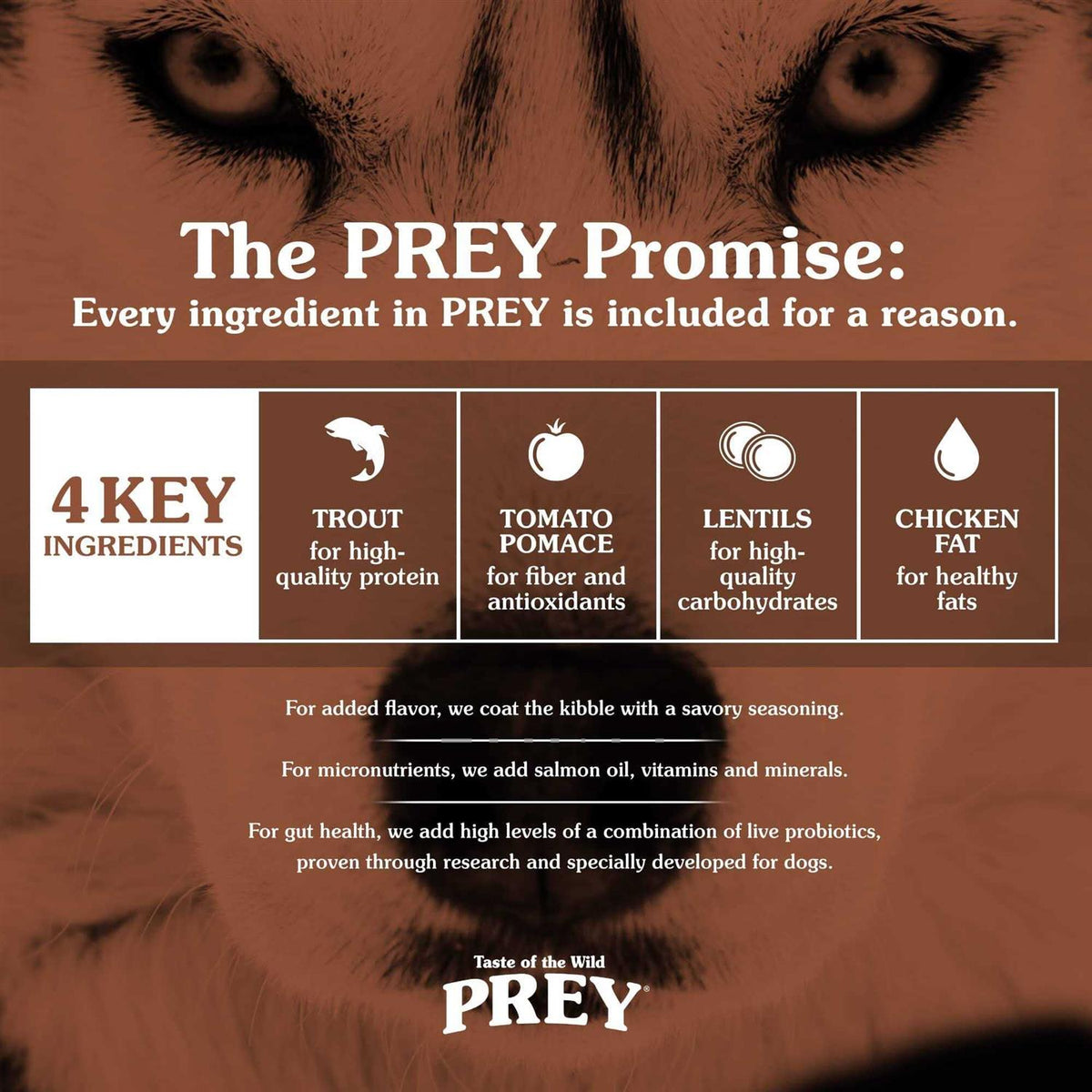 Prey Trout Dog Food C4174