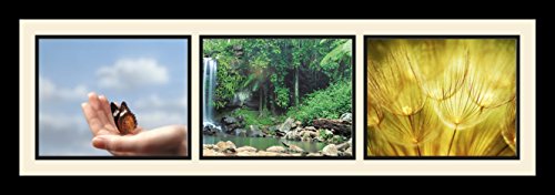 Collage Photo Frame Single Mat with 3-8x10 Openings Satin Black Frame G821829