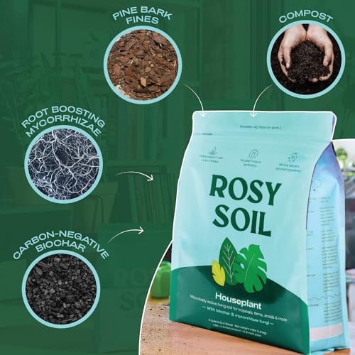 Organic Indoor Potting Soil Mix 8qt A741