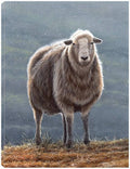 24x32 Canvas Art Z22450