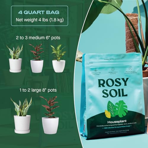 Organic Indoor Potting Soil Mix 8qt A741
