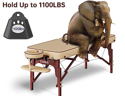 84" Portable Folding Massage Table with Carrying Bag X917