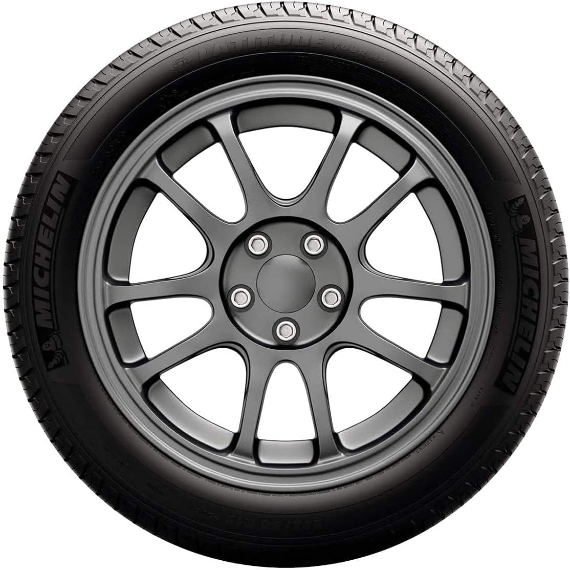 255/55R19/XL 111W All Season Radial Car Tire H6119