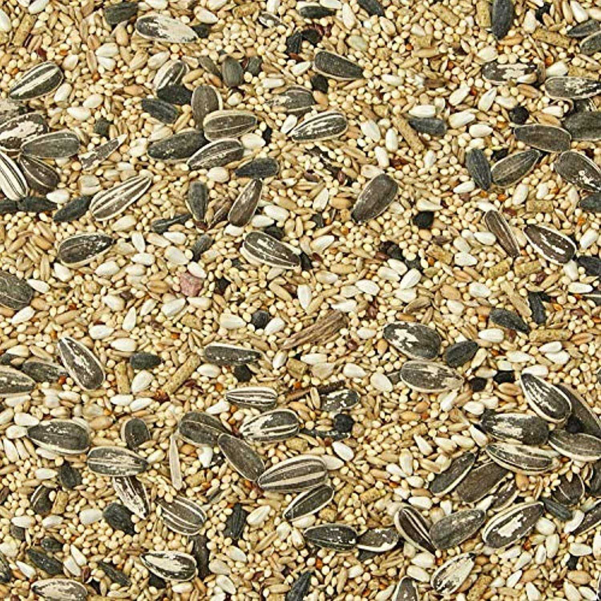 Cockatiel Bird Food V4681