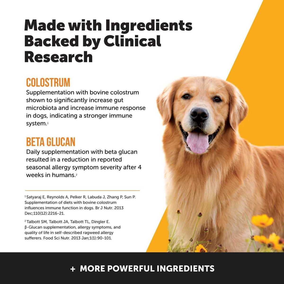 Dog Allergy Support Supplement with Probiotics Omegas and Zinc Z2575