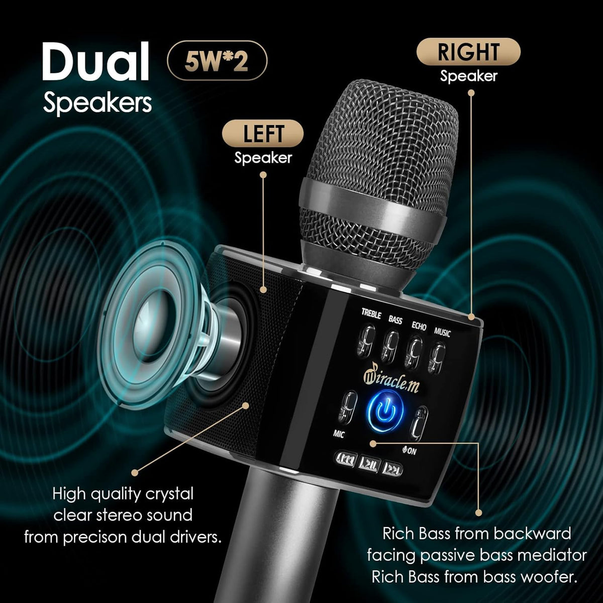 Bluetooth Wireless Karaoke Microphone with Speaker A632636