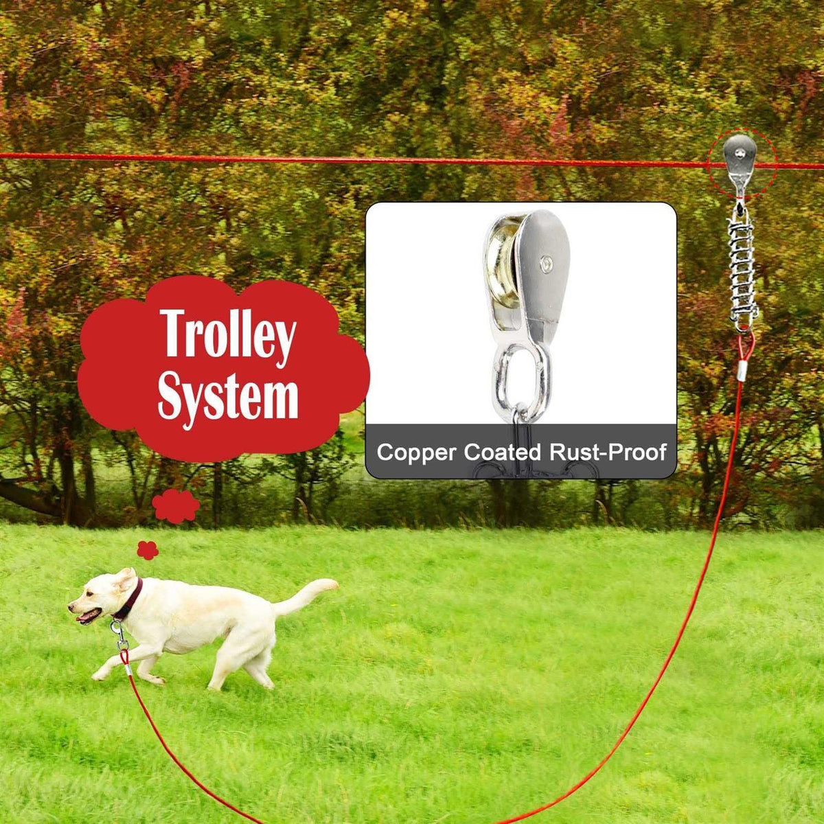 100FT Dog Tie Out Cable D866