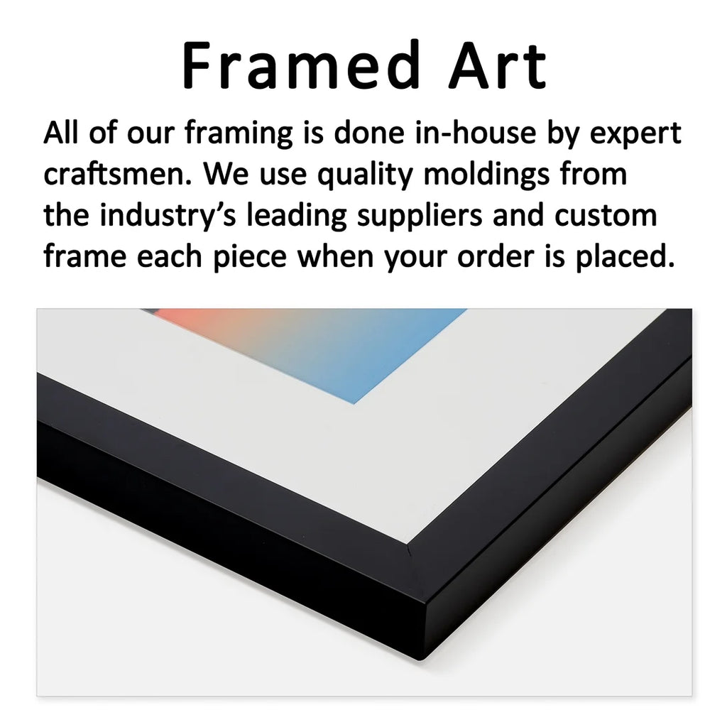 Framed Print D266117