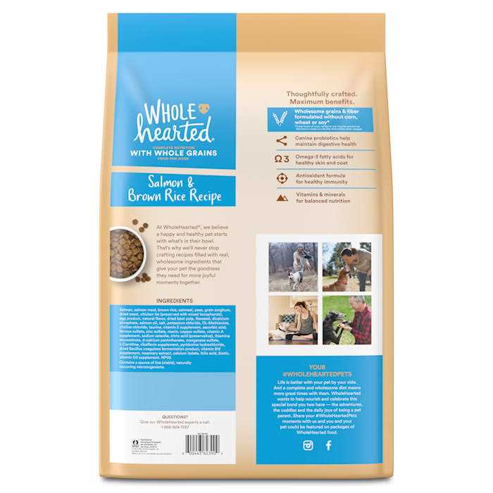 Salmon Recipe Dry Dog Food V319939