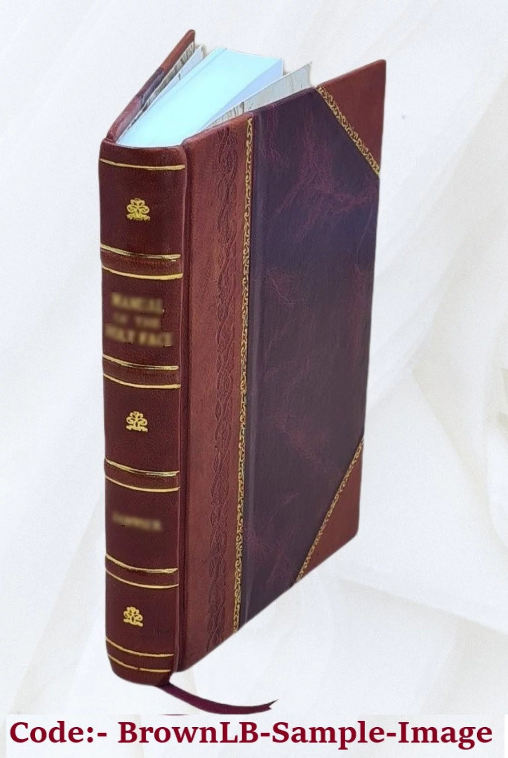 Leather Bound Book J656