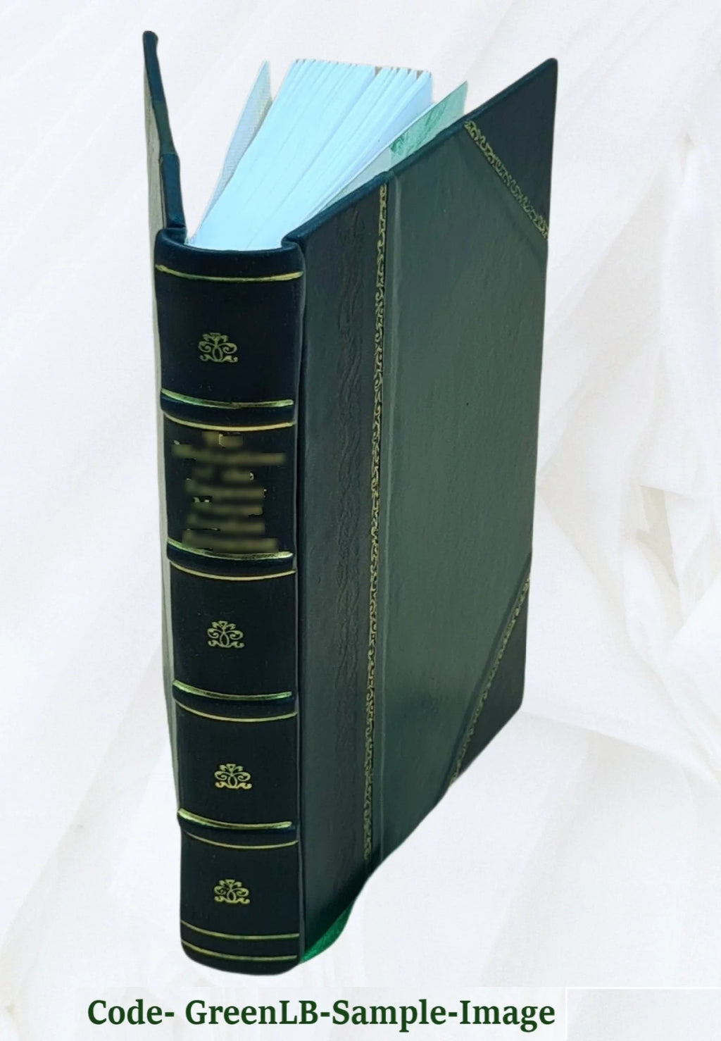 Leather Bound Book J656