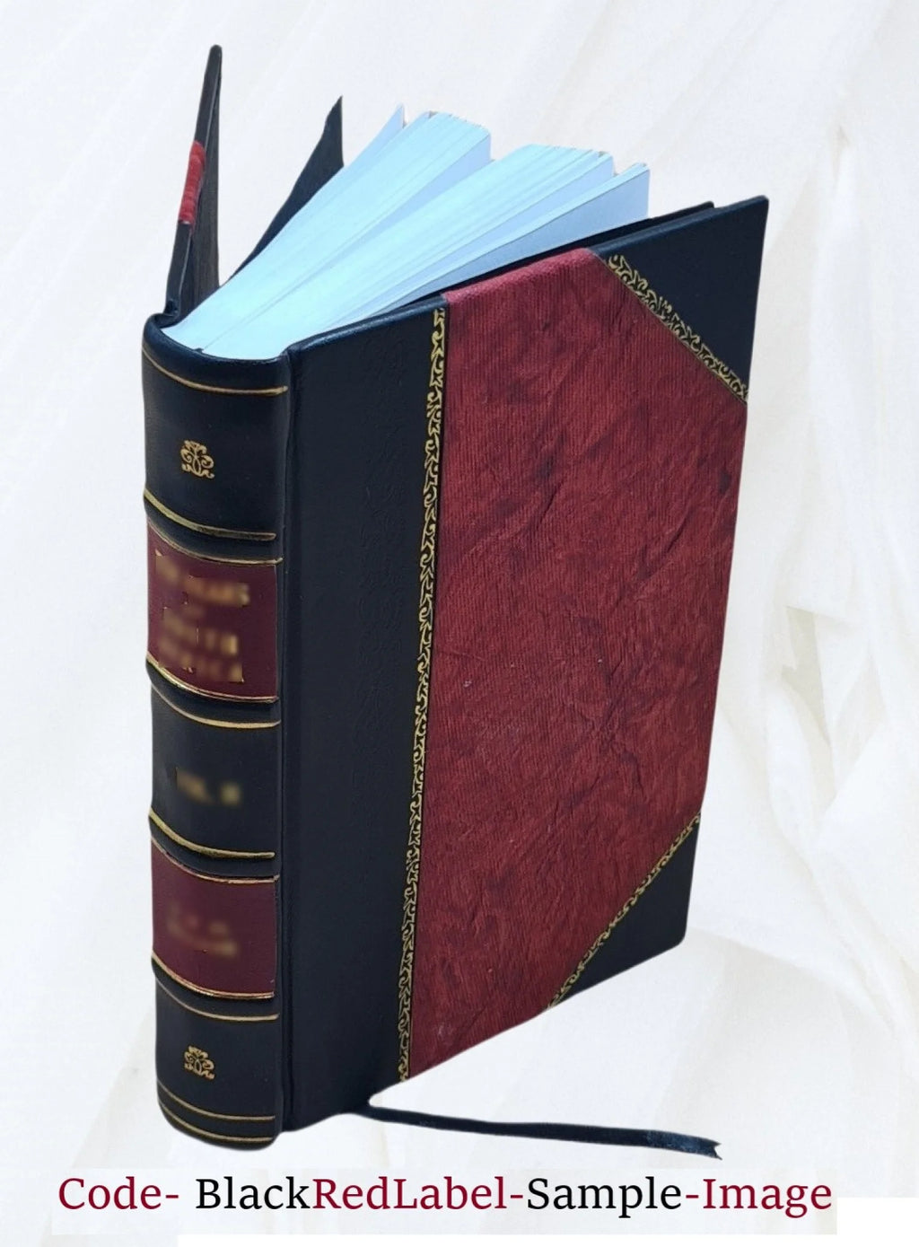 Leather Bound Book J656