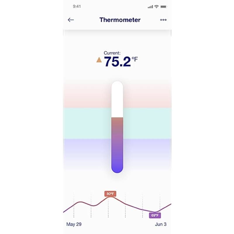 Pond Thermometer D165